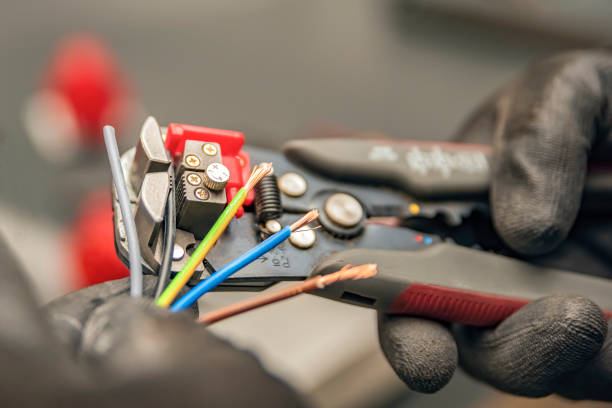 Best Electric Panel Repair  in Connerton, FL